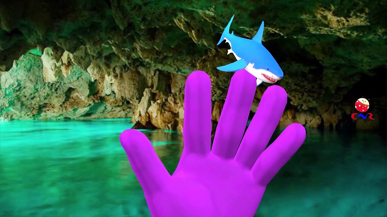 Bull Shark Vs Crocodile Attack Each Other And Singing Finger Family Children Nursery Rhyme