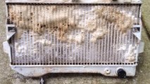 THE BEST NO SCRUBBING ATV Dirt Radiator cleaning