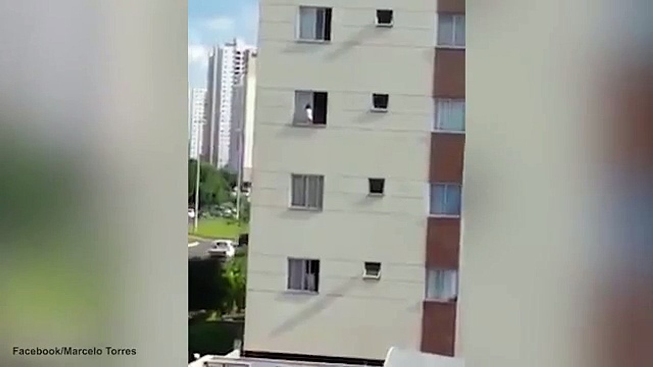 toddler walks along 3rd floor window l