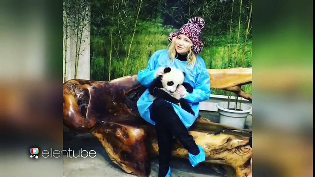 What's Cuter Than Kate Hudson Holding a Baby Panda- Nothing.