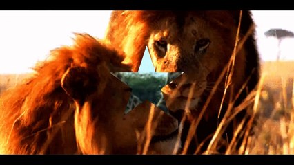 Get Your House In Order, CCS (Cash Flow Management)