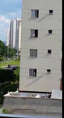 Scare! child walks in a window sill in Guará