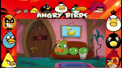 ЗЛЫЕ ПТИЧКИ мультфильм 2 Сезон 8 Серия HD Чудеса жизни все серии