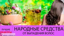 Народные средства от выпадения волос. ЛЕЧЕНИЕ выпадения волос народными средствами