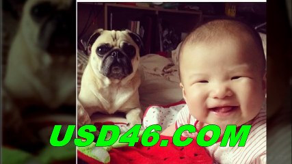 네임드달팽이 ≪※≫ ＷＡＷＡ2７．CＯＭ ≪※≫ 달팽이레이싱 ゅ 달팽이분석