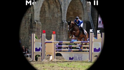 Top Cheval de Concours avec du métier ayant tourné 130-135.