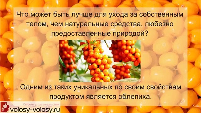 Облепиховое масло для волос. МАСКИ для волос с облепиховым маслом на все случаи жизни