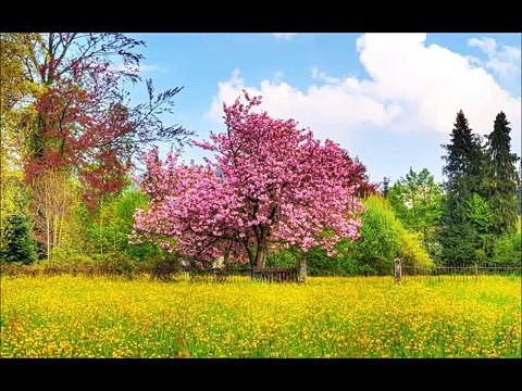 Vivaldi - Les Quatre Saisons - Meilleurs passages