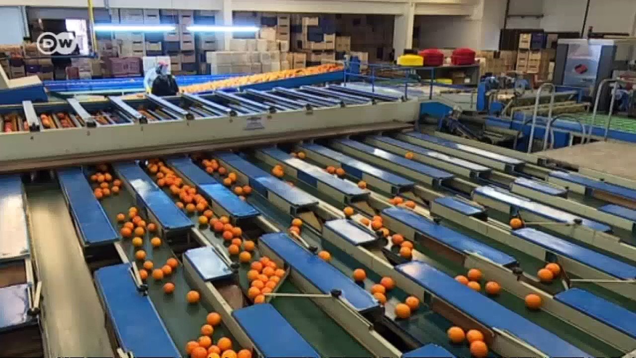 Türkei: Russisches Embargo zeigt Wirkung | Made in Germany