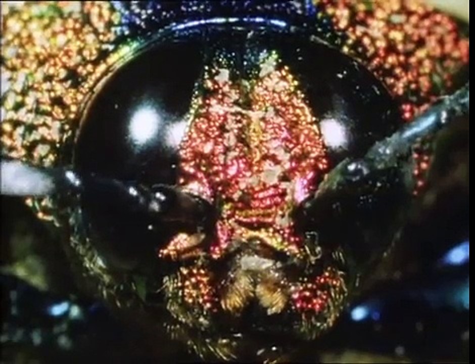 Alien Empire: Hardware