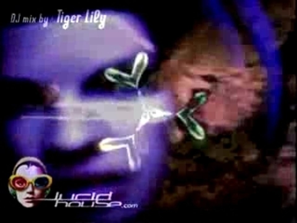 Tigerlily-lucidhouse01