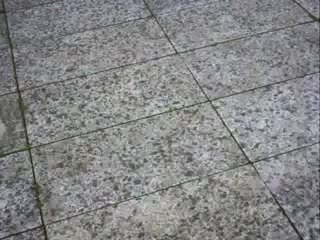 Ninguem te mandou gtar pois nao ? xD