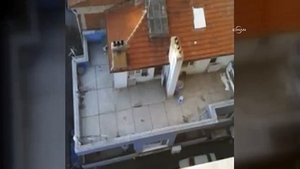 Köpeğe acımasız işkence: Yumrukladı, tekmeledi, başını ezmeye çalıştı