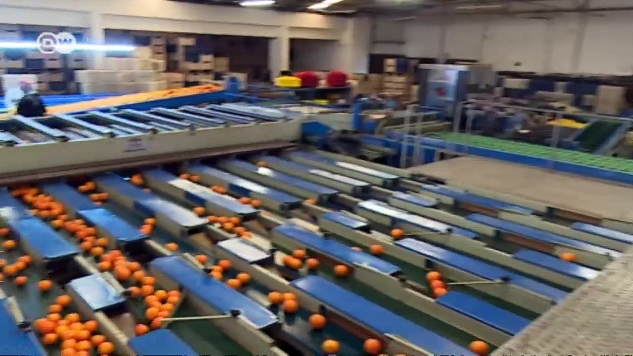 Turkey: the Russian embargo starts to hurt | Made in Germany