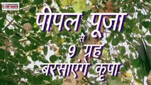 Worship peepal tree this way to impress nine planets- Nav grah ko apna banaye  - Vastu tips