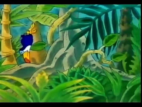 Mittendrin 31 auf dem Fischmarkt Umweltmagazin mit Peter Lustig