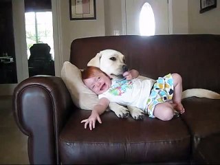 Em bé đáng yêu chơi đùa với chó