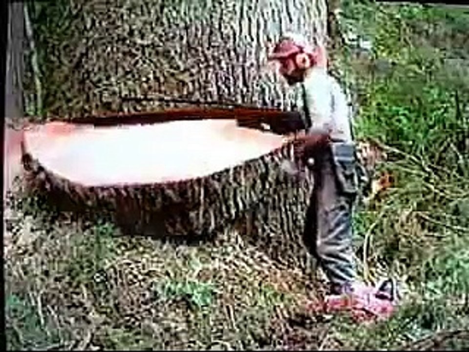 How he is cutting big tree with electric saw -must watch | Watch Me