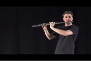 Beatboxing Flute Sesame Street