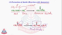 Reaction Involving the OH-Group of Carboxylic Acid [Formation Of Amide & Acid Anhydride] & Reaction Involving  Carboxylic Group