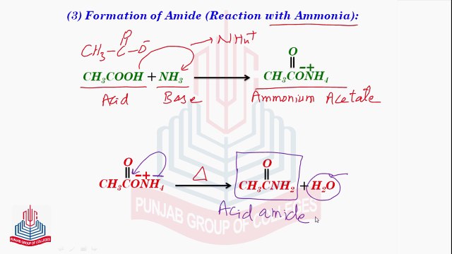 Reaction Involving the OH-Group of Carboxylic Acid [Formation Of Amide & Acid Anhydride] & Reaction Involving Carboxylic Group