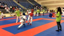 Championnat de France de Karaté UNSS 2 - 4 Février 2016 - Dojo Régional de Chevigny saint Sauveur