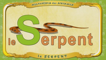 Multipédia des animaux. La lettre S - le Serpent