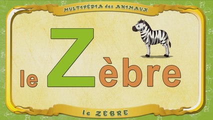 Multipédia des animaux. La lettre Z - le Zèbre
