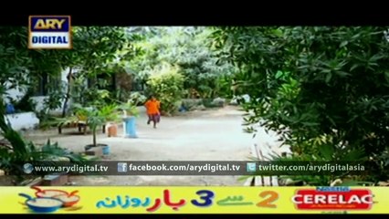 Watch Shehzada Saleem Episode – 15 – 17th February 2016 on ARY Digital