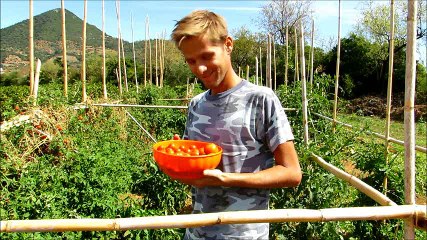 Our first garden under the microscope - Funny