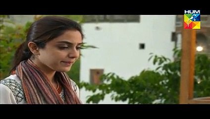 Diyar-E-Dil Episode 28 Hum TV
