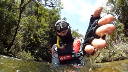 Passeio com a equipe ao Parque Estadual da Serra da Bocaina, São José do Barreiro, SP, Brasil, Marcelo Ambrogi, Mountain bike, Fevereiro de 2016