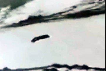 Eagle kills wolf. hunting -