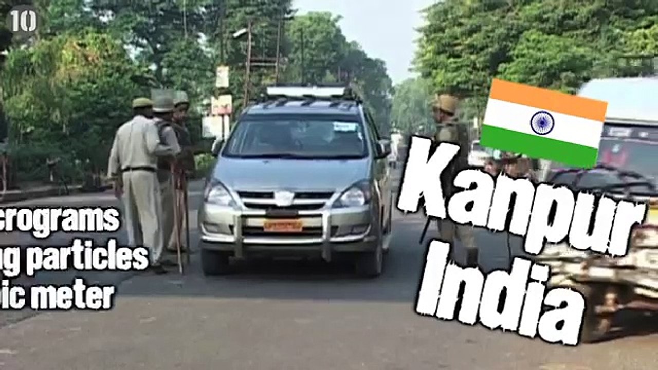 Show Pet How Much You Love Him With Dog Training Classes