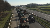 Crise agricole. Les agriculteurs du pays de Vitré en route vers Rennes