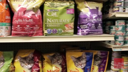 Quantum Physics Is Everywhere