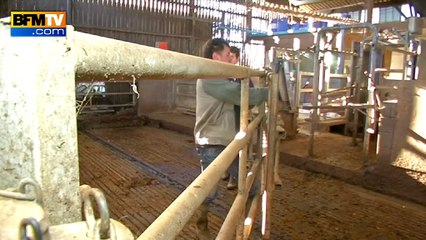 Crise agricole: un producteur de lait témoigne de sa détresse