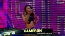 Team Natalya vs Team Paige Survivor Series 2014