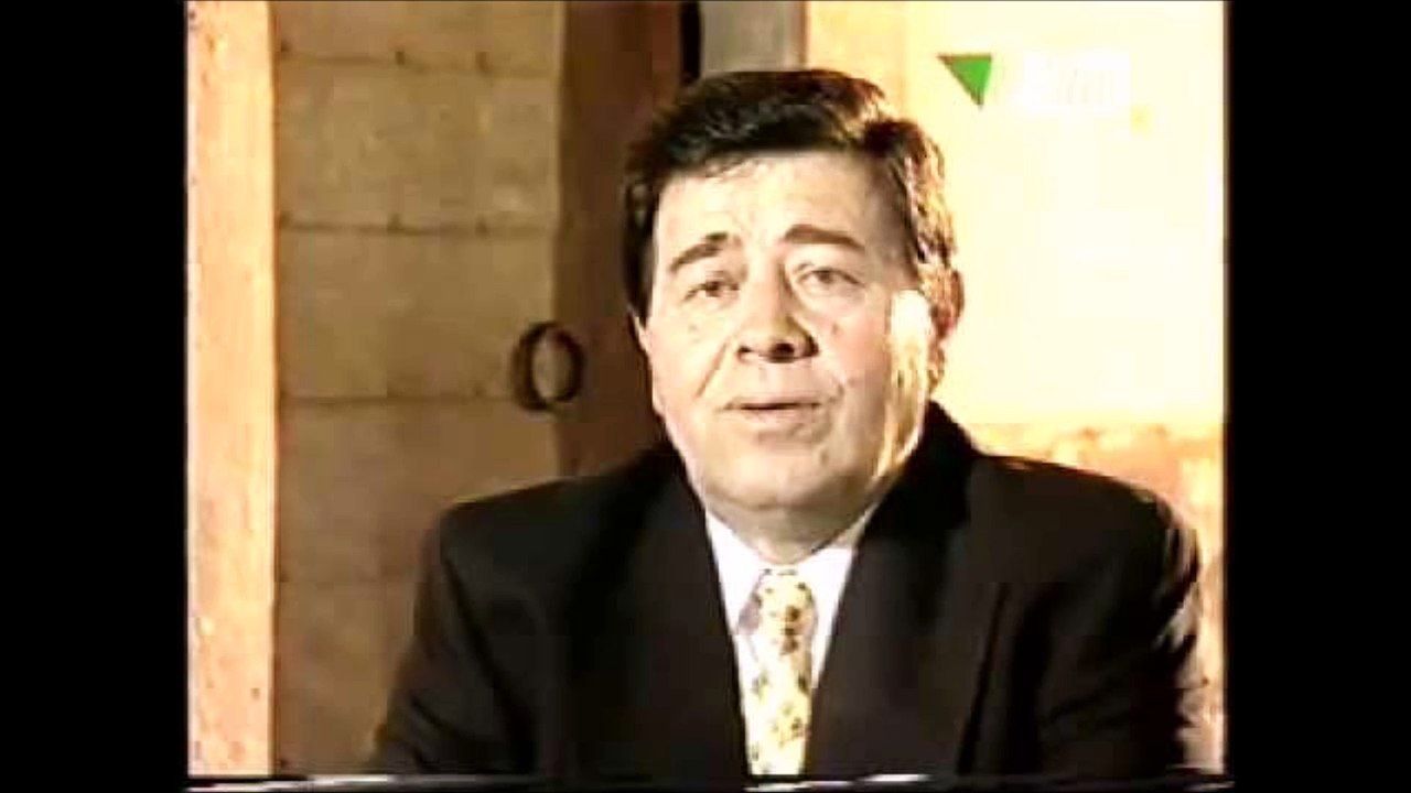 Meho Puzic Moje pjesme moji snovi mix