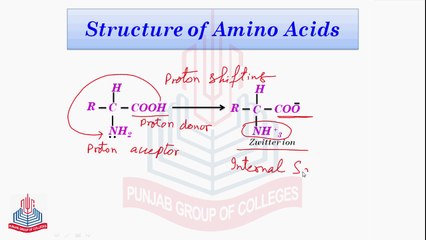 Structure of Amino Acids