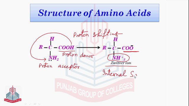 Structure of Amino Acids