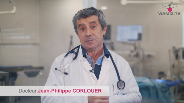 CONSEILS SANTÉ Quels sont les conseils principaux à appliquer en cas d'urgence pour mon animal de compagnie?