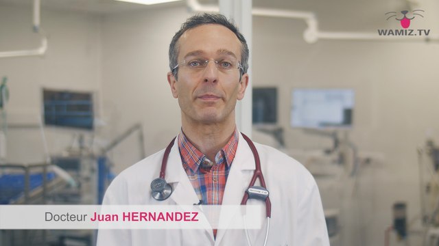 CONSEILS SANTÉ Quels sont les aliments dangereux à éviter pour mon chien?