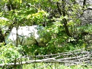 Montdenis-05-2007-1