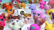 LPS DOGS Collection Tour Haul Video Bobblehead Littlest Pet Shop Animals Cookieswirlc Part