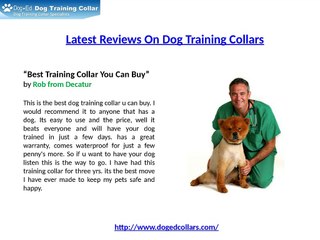 Dog Training Collars