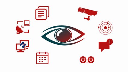 Strantin Surveillance Software