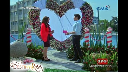 Destiny Rose: The marriage proposal