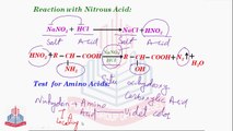 Reactions of Amino Acids [ With Nitrous Acid ] , Test for Amino Acids & Synthesis Of Peptides & Proteins