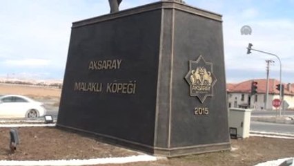 Aksaray Malaklısı" İçin Koruma Merkezi - Aksaray